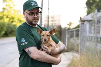 Staff interact with dogs in Asheville NC