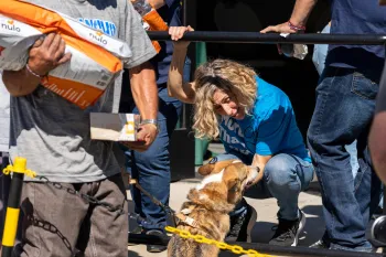 a person with a dog