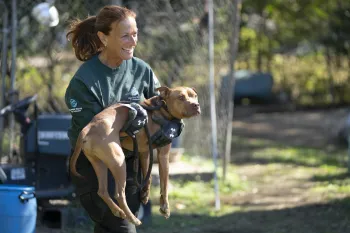 SC Dogfighting Rescue - Lancaster Co.