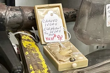 An ivory elephant carving