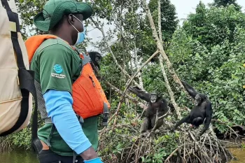 A caregiver at Second Chance Chimpanzee Refuge Liberia