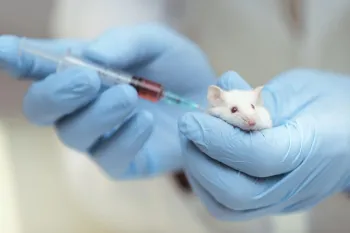 Closeup of the hands of a doctor giving a red injection to a mouse. The doctor wears blue gloves.