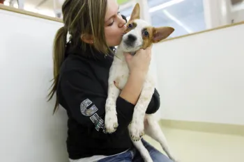 10,000th+ shelter dog adopted via the PFPS conversion program. 