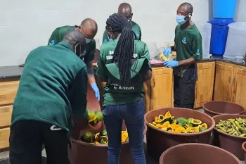 Caretakers at Second Chance prepare the chimps' daily food