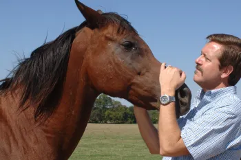A man petting a horse
