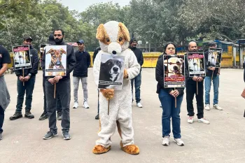 Humane World for Animals India and other NGO did a protest in India's national capital Delhi's most iconic and historic protest site, Jantar Mantar. People are holding pro-ABC placards