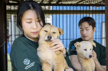two people holding dogs