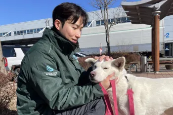 Man petting white dog