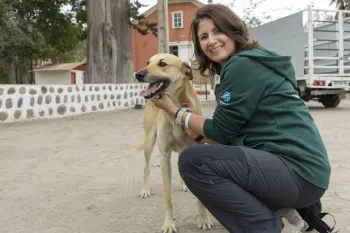 Survey Week in Barraza