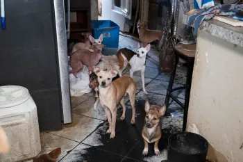 Texas rescue alleged neglect Feb 2026