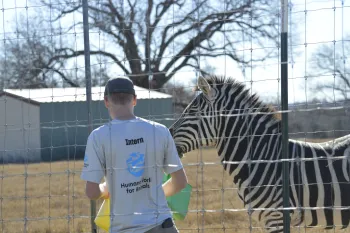 Intern at Black Beauty Ranch