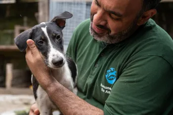 Holding a dog rescued from a slaughterhouse in Indonesia