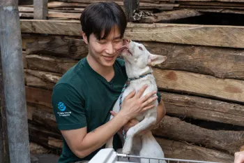 Indonesian dog meat trade rescued white dog March 2026