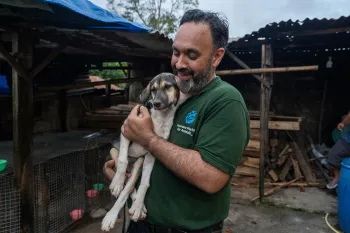 A person wearing a green shirt with a "Humane World for Animals" logo is holding a dog in their arms. 