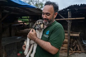 Indonesia dog meat slaughterhouse, pre-closure.