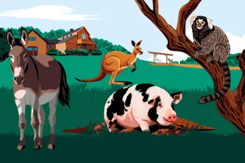 Illustration of farm and sanctuary animals—a donkey, pig, kangaroo, and marmoset—gathered on grassy land near a barn and trees.