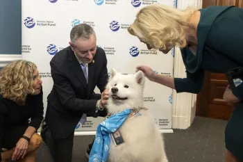 group of people petting a dog