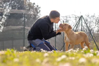 A person is kneeling on the grass in an outdoor area, holding and interacting with a tan-colored dog