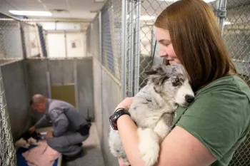 You can make a difference for shelters and the animals in their care