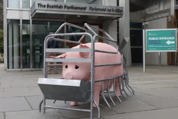 Images from the Edinburgh stop of the Crate Britain Tour as part of Humane World for Animals UK campaign to ban farrowing crates.