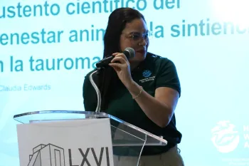 advocacy against bullfighting