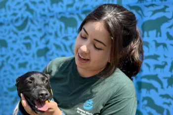 Humane Journeys staff visit Animal Brigade, a mock mobile clinic in Aguascalientes, and a partner shelter in Holbox to plan for the 2026 Humane Journeys donor trip.