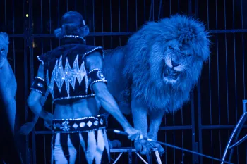 Circus performer with a  large cat