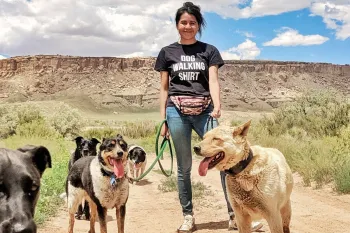 A woman out walking several dogs.