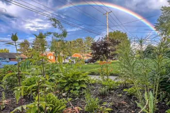 A front yard filled with native plants and a beautiful rainbow in the distance. 