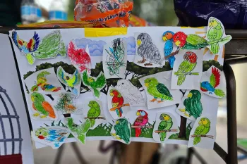 Fiesta del pajaro