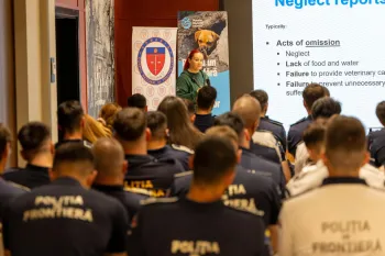 a person giving a presentation to a group of people