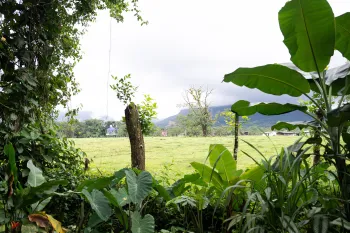 View from tropical vegetation toward an open green pasture with distant mountains under a cloudy sky. This farmland borders an exploitative sloth park in Costa Rica.