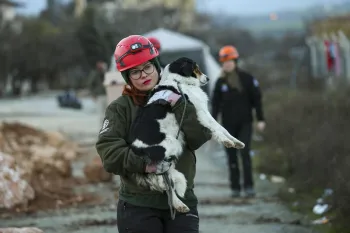 a rescue worker carrying a small black and white dog in their arms.