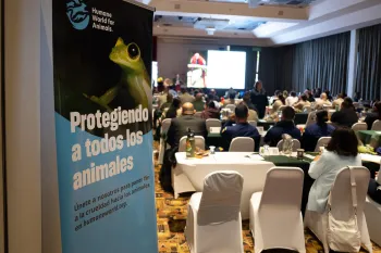 Organized Crime and Wildlife Trafficking Seminar