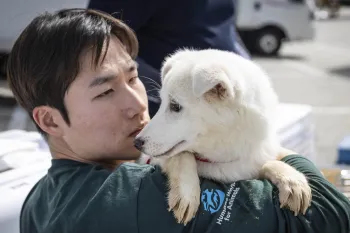 Cheongju City Dog Meat Farm Rescue