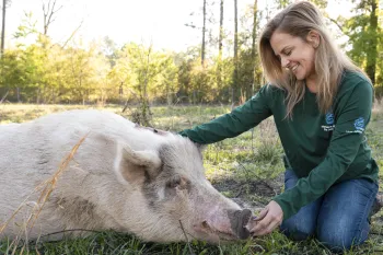 New branded clothing at Karla Dumas Yesahcan Farm Animal Sanctuary