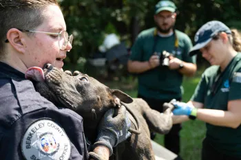 A muddy dog licks the face of a uniformed officer