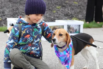 Child with a dog