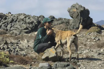 A person crouching down next to a dog.
