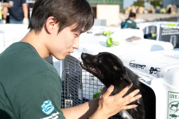 Rescued from a dog meat farm in South Korea