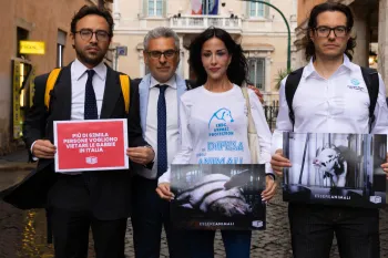 Four people stand on a cobblestone street holding posters in support of a nationwide ban on cages for farmed animals