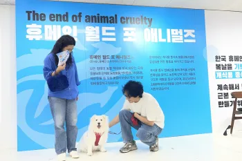 A Korean couple looks at their white dog in front of an "The end of animal cruelty" backdrop during a Bok Nal event hosted by Humane World for Animals to celebrate the end of South Korea's dog meat industry.