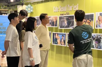 During an art gallery show to celebrate the South Korea dog meat industry ban, a staff member of Humane World for Animals Korea talks to a group of visitors and points to various photos on the wall.