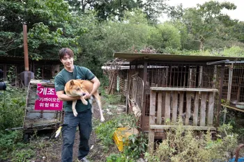 A yellow dog is carried off to safety from a closed dog meat farm in South Korea by a Humane World for Animals staffer.