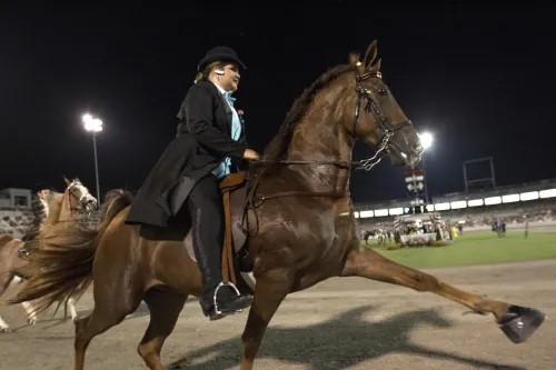 Could this be the end of cruel soring at Tennessee Walking Horse