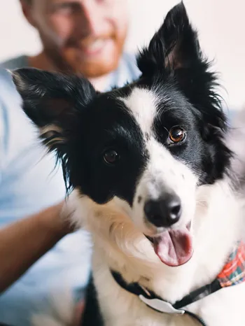 man and woman on the couch with their dog