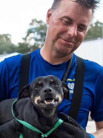Dog and rescuer during HSUS efforts following Hurricane Florence in South Carolina