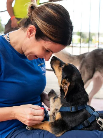HSUS staff cuddling dogs at Spayathon event