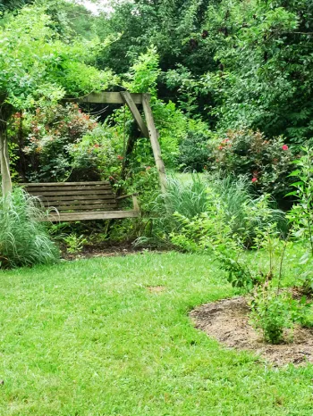 humane backyard with a bench and birdbath