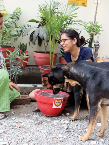 Two women giving water to street dogs in India. 
